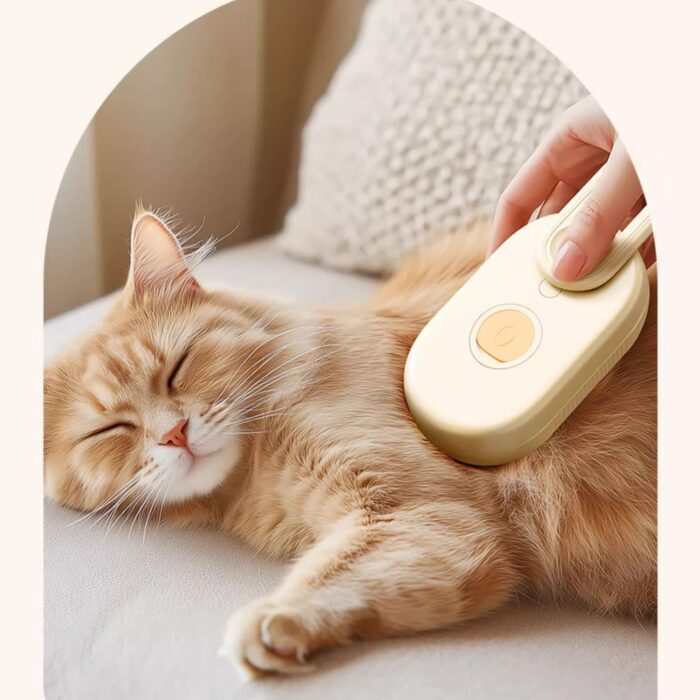 2-in-1 Pet Steam Spray Grooming Comb – Massage Brush for Cats & Dogs