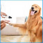 Electric Pet Nail Grinder with LED Light – Quiet USB Rechargeable