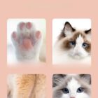 Rechargeable Pet Paw Trimmer with LED Light for Dogs & Cats