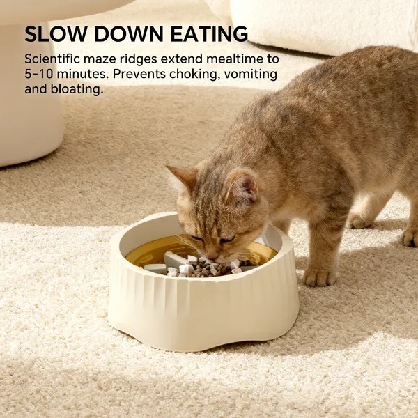 06d09242-be37-4666-8f23-648b3a3f729a.jpg Cat eating from a cream slow feeder bowl