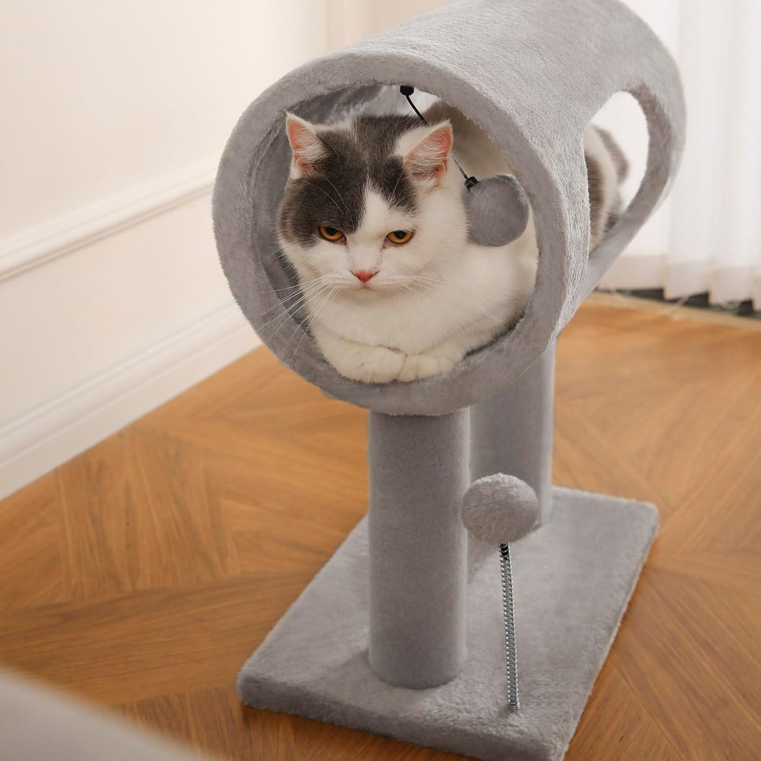 09d71688-92e7-4a1b-8500-4466172da49d.jpg Cat resting inside a gray plush tunnel on posts