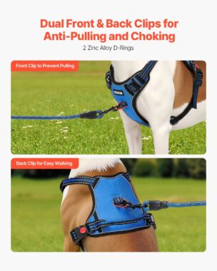 Front and back leash attachment points on a blue dog harness