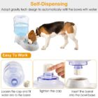 Dog drinking from gravity dispenser and steps for filling it