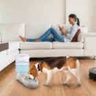 Dog drinking from a gravity water dispenser in a living room