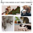 Cats scratching furniture and objects in a cat tree graphic