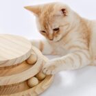 Cat playing with balls in a wooden track