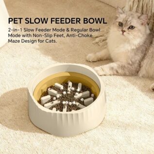 2-in-1 Cat Slow Feeder and Regular Bowl