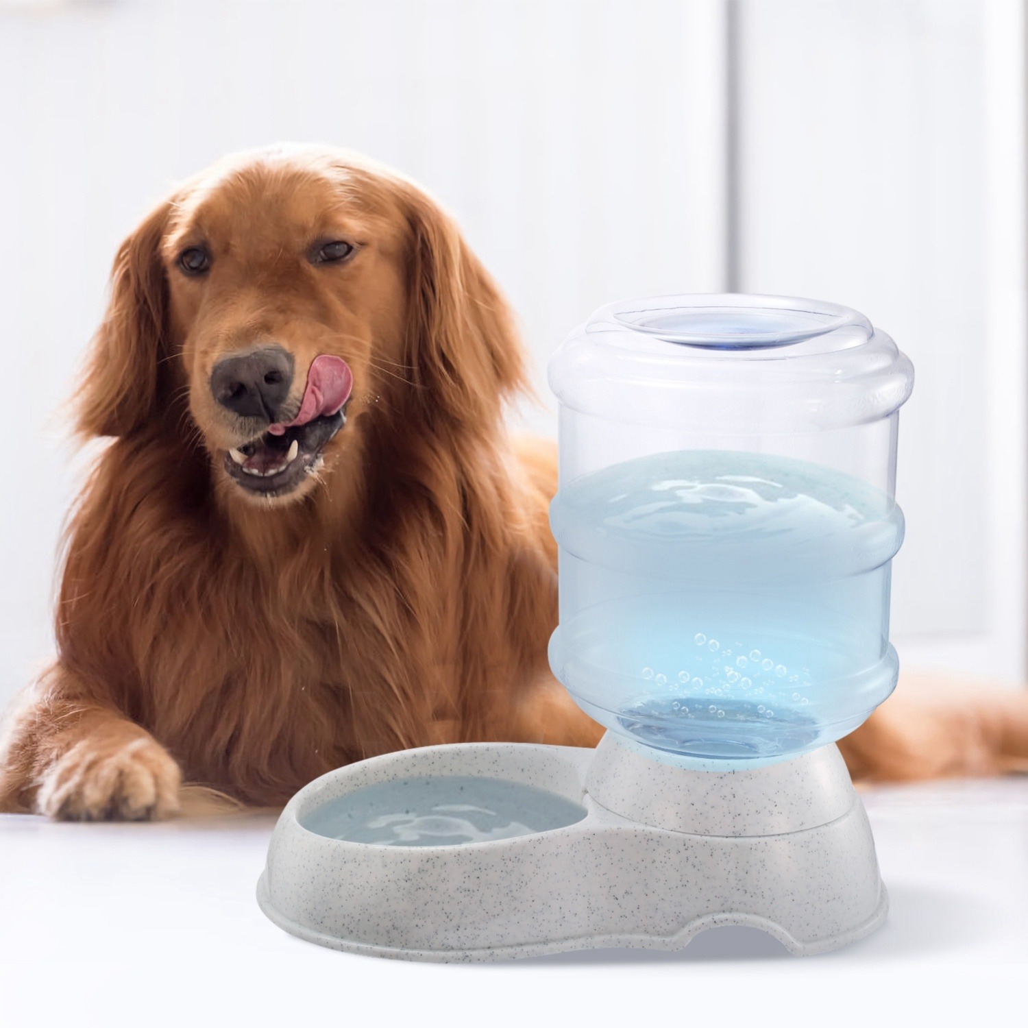 9617f86f-bc86-45fa-82ca-c627829140b5.jpg Dog beside a gravity pet water dispenser