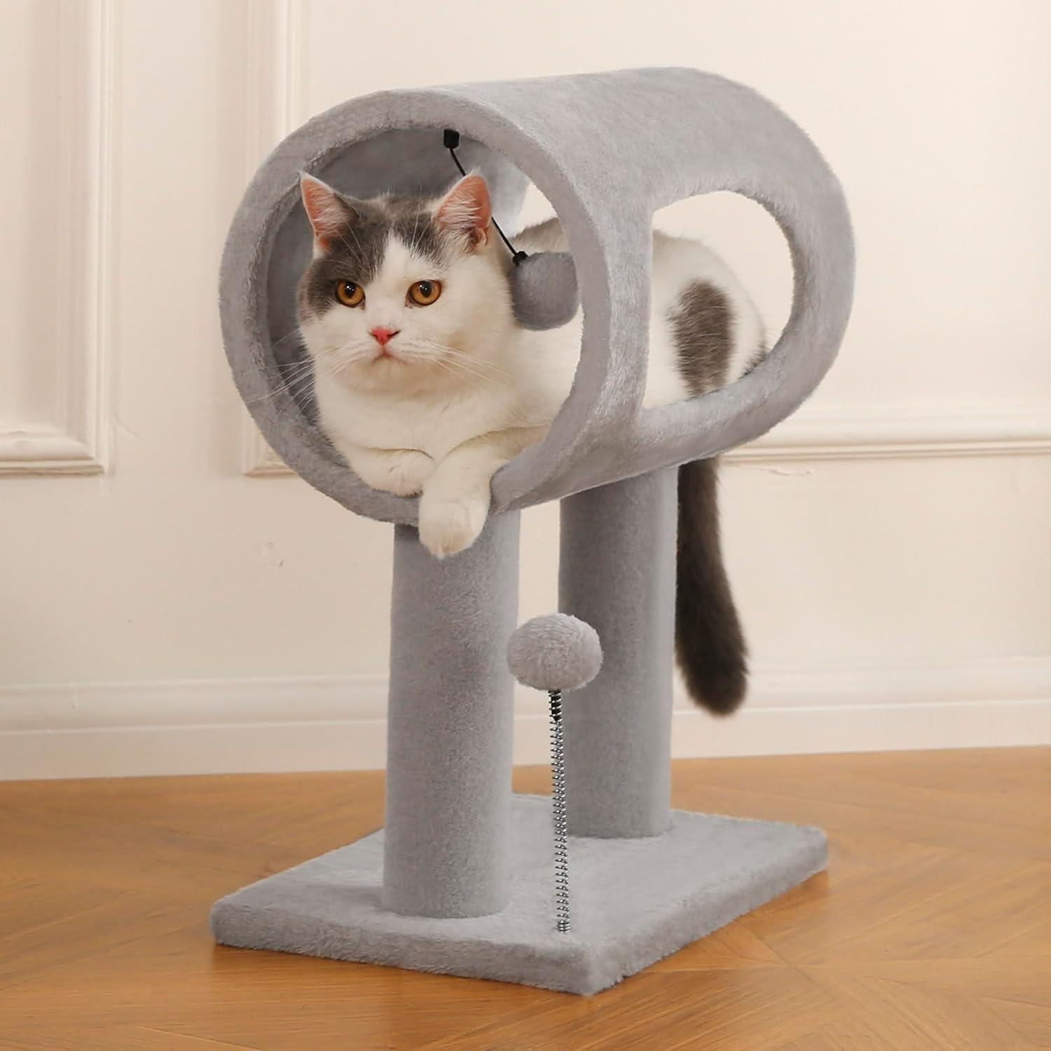 be3549d9-ee57-4daf-9034-e6899d437605.jpg Cat looking out from a gray elevated plush tunnel