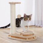 Cat standing beside a scratching post and ball track