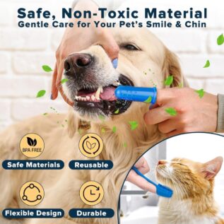 Person using a finger toothbrush on a dog with a cat pictured