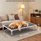 Dog lying on elevated mesh bed with labeled dimensions