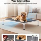 Dog resting on an elevated mesh bed with care illustrations