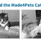 Four photos of cats in a scratching toy illustration